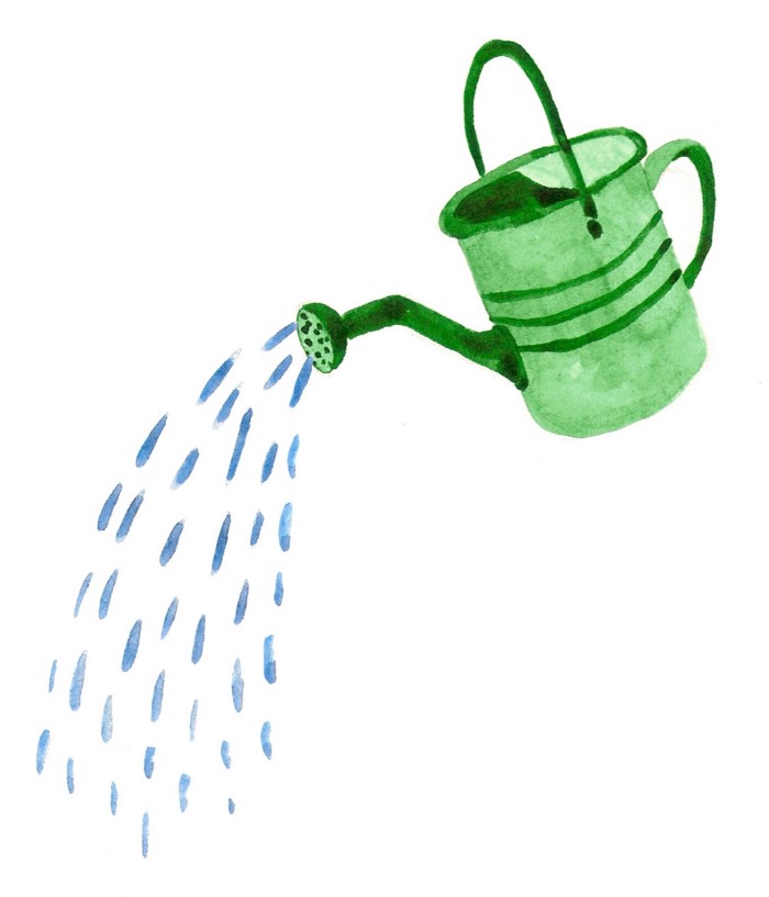 a watering can